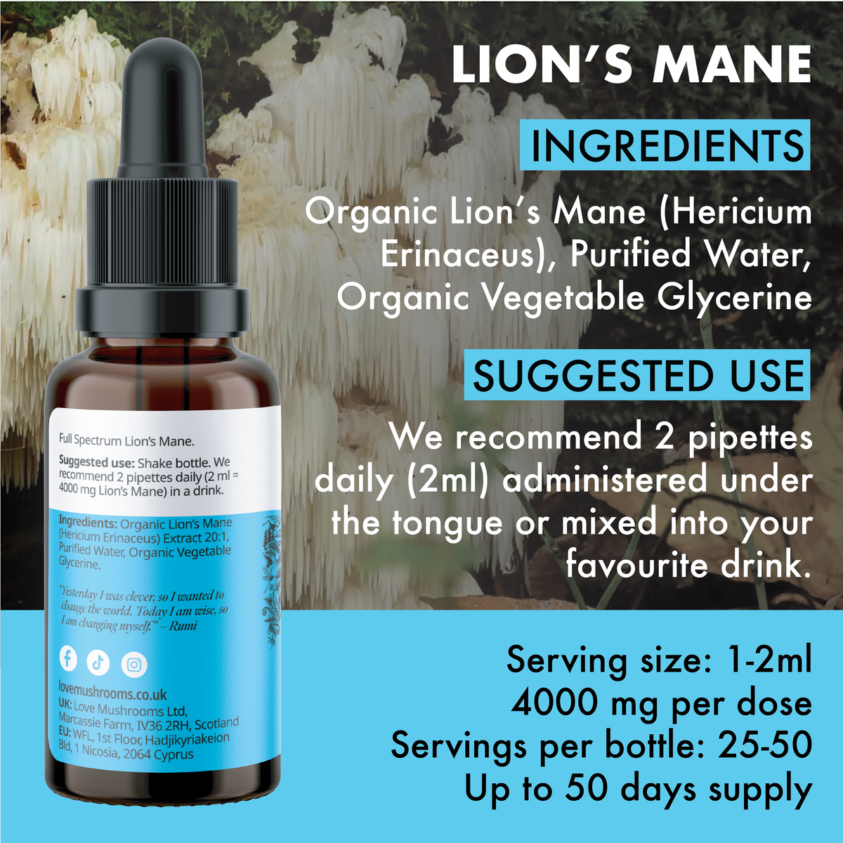 Lion’s Mane Liquid Drops (50ml) – 4000mg per Dose
