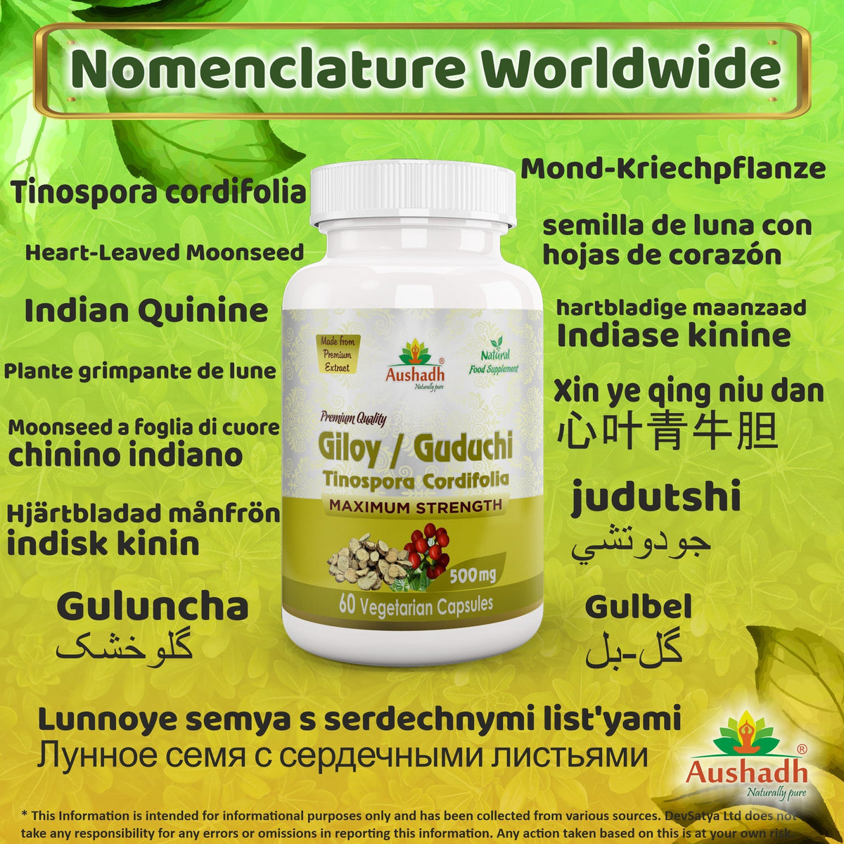 Aushadh Guduchi with Amla Capsules (Giloy, Tinospora Cordifolia) Immune Wellness & Antioxidant Support - Vegan, Gluten Free, Non-GMO, 60 Capsules
