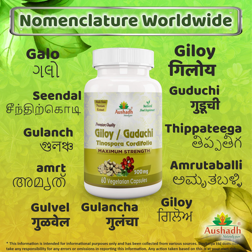 Aushadh Guduchi with Amla Capsules (Giloy, Tinospora Cordifolia) Immune Wellness & Antioxidant Support - Vegan, Gluten Free, Non-GMO, 60 Capsules