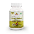 Aushadh Guduchi with Amla Capsules (Giloy, Tinospora Cordifolia) Immune Wellness & Antioxidant Support - Vegan, Gluten Free, Non-GMO, 60 Capsules
