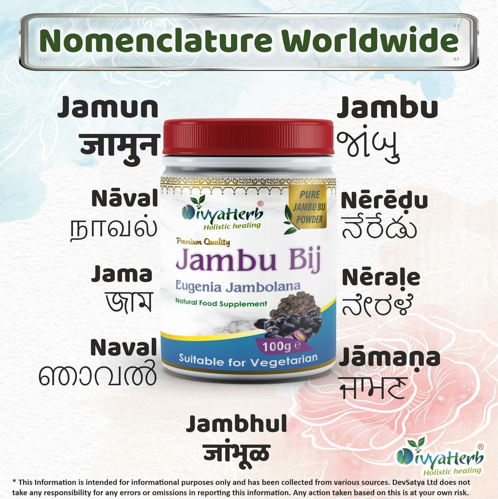 DivyaHerb Jambu Bij Powder 100 gram - Daily Wellness Support