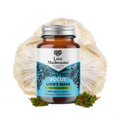 FOCUS – Lion’s Mane + Ashwagandha (60 Capsules)