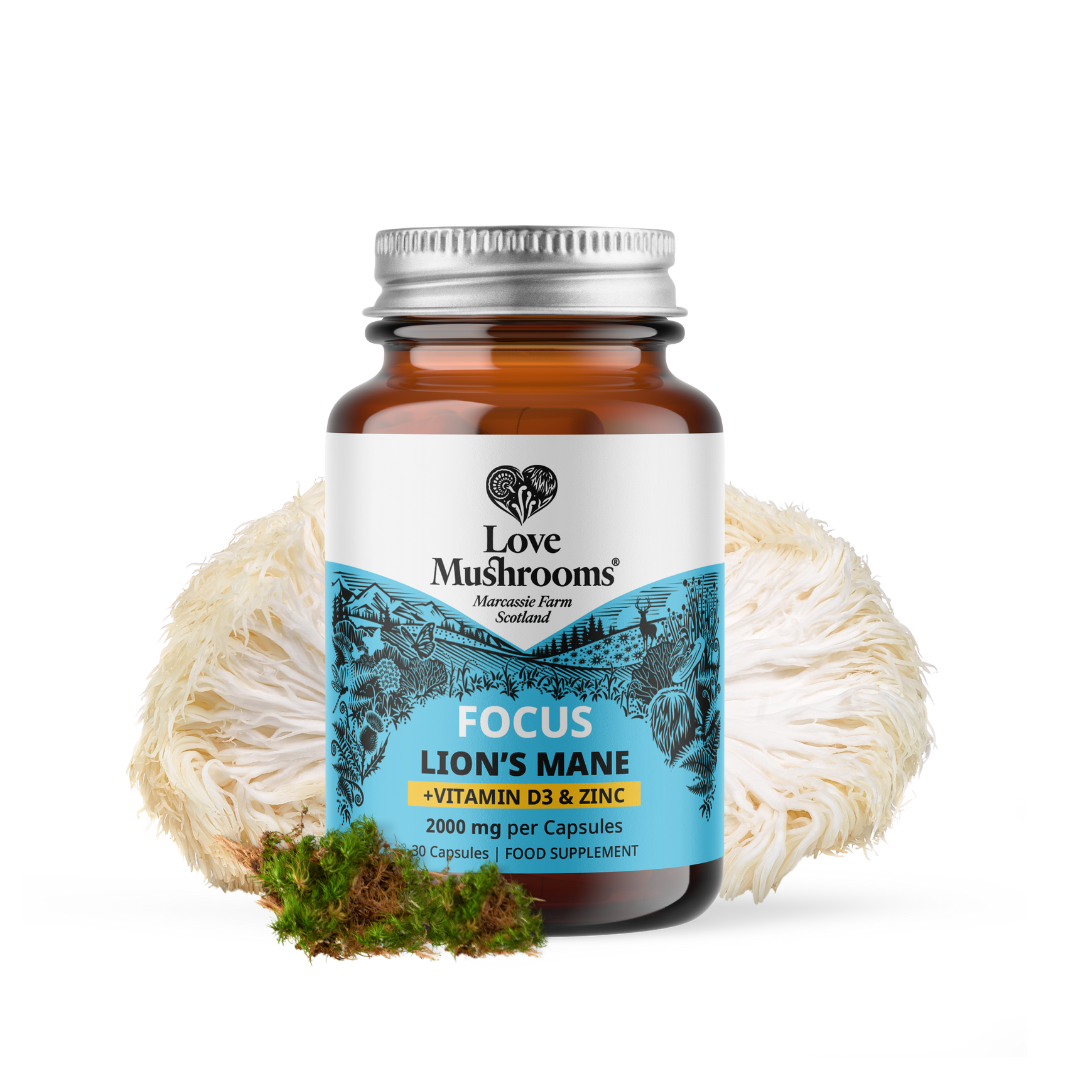 FOCUS – Lion’s Mane + Vitamin D3 & Zinc (30 Capsules)