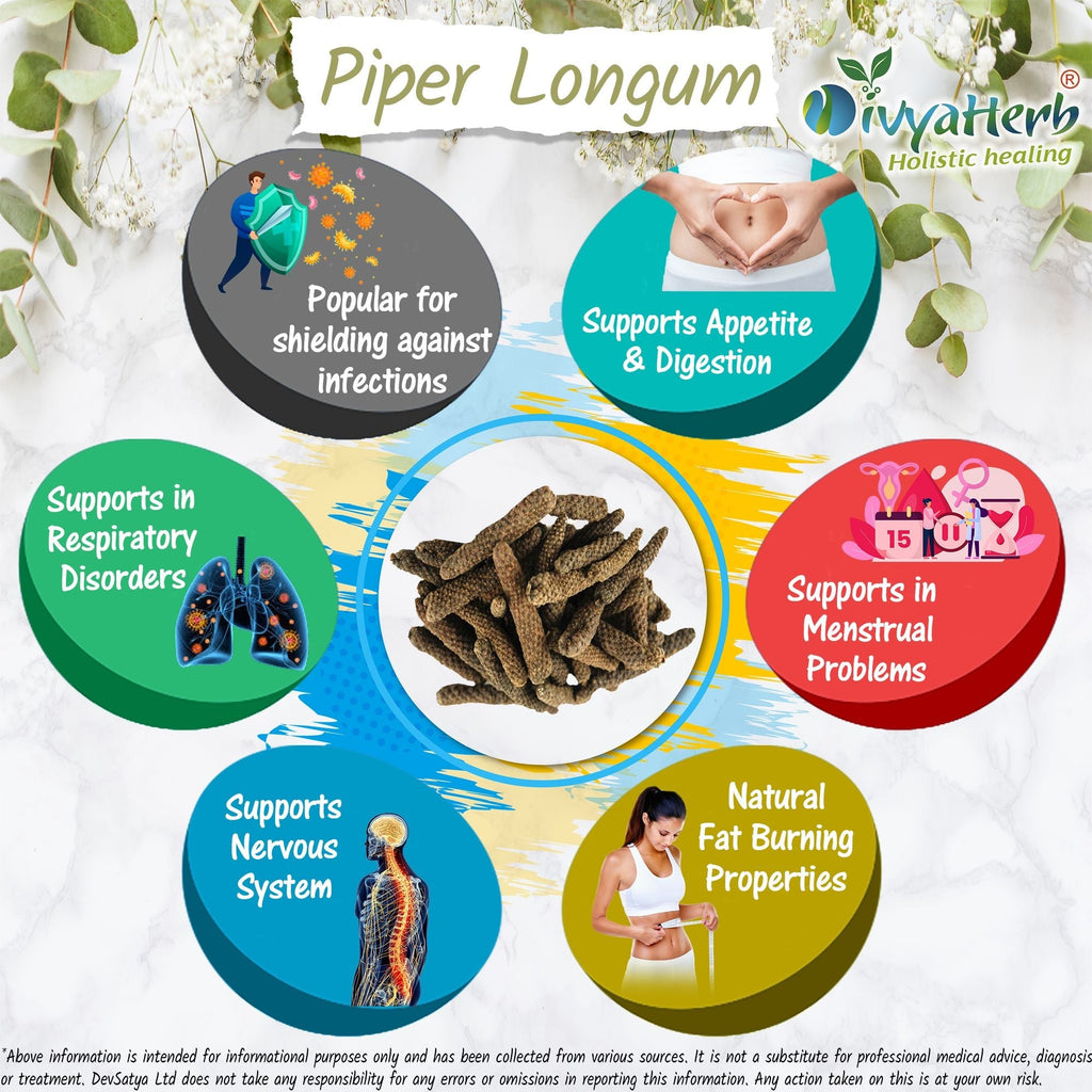 DivyaHerb Piper Longum Powder 100 gram - Digestive Comfort Support