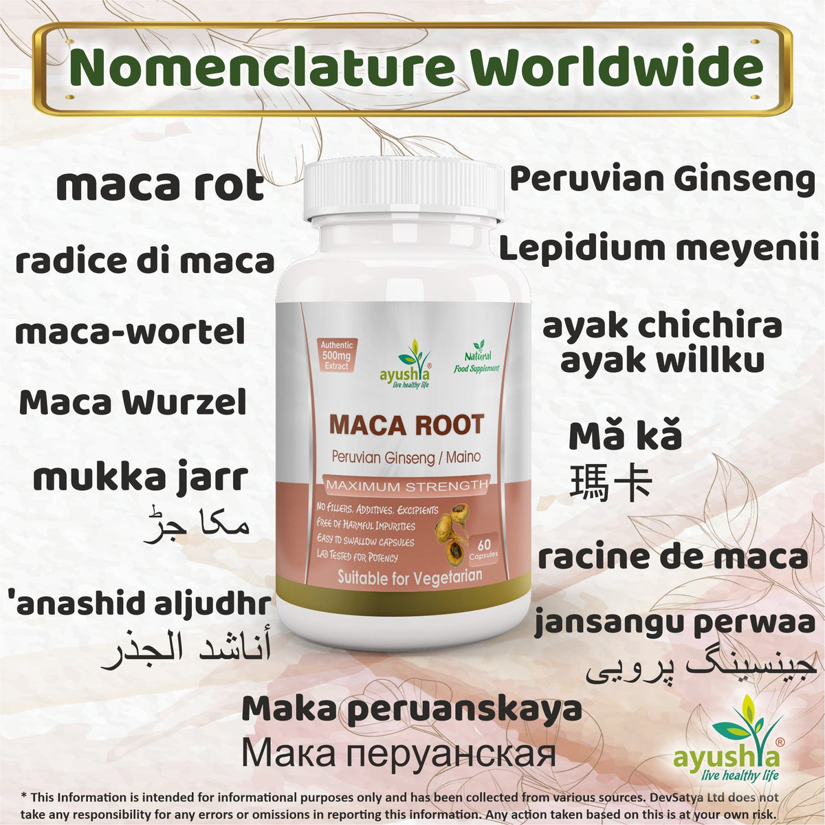 Ayushya Maca Root Capsules (Peruvian Ginseng) Energy & Stamina Support - Vegan, Gluten Free, Non-GMO, 60 Capsules
