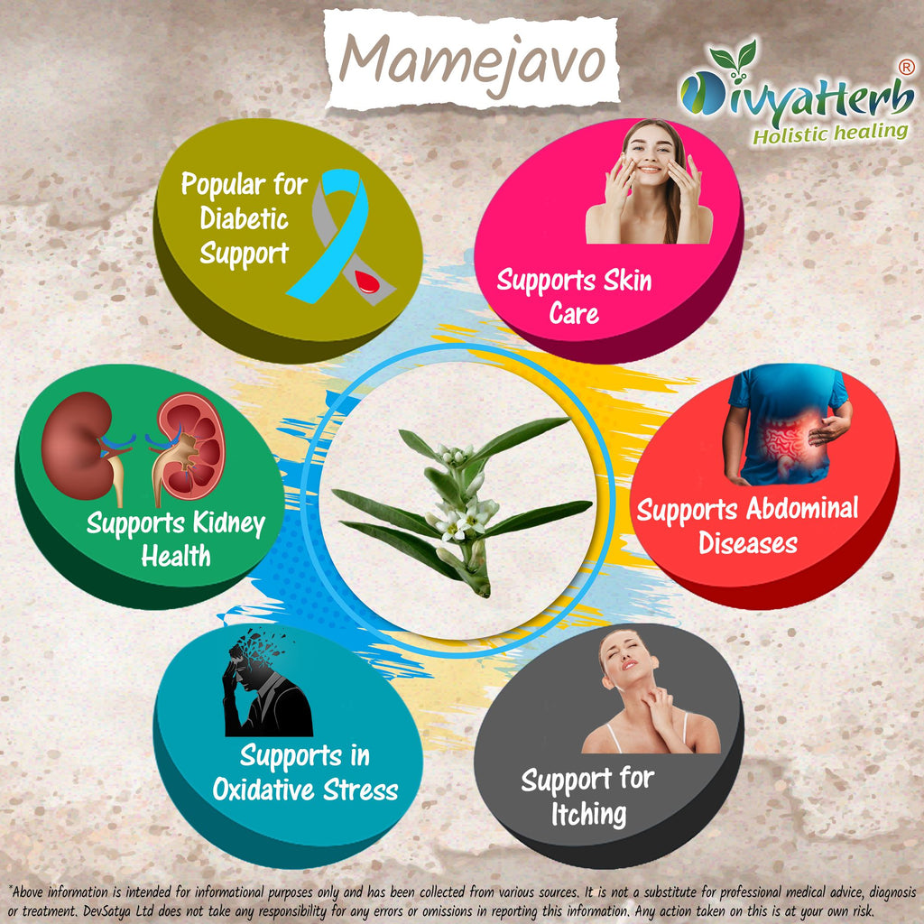 DivyaHerb Mamejavo Powder 100 gram - Daily Wellness Support