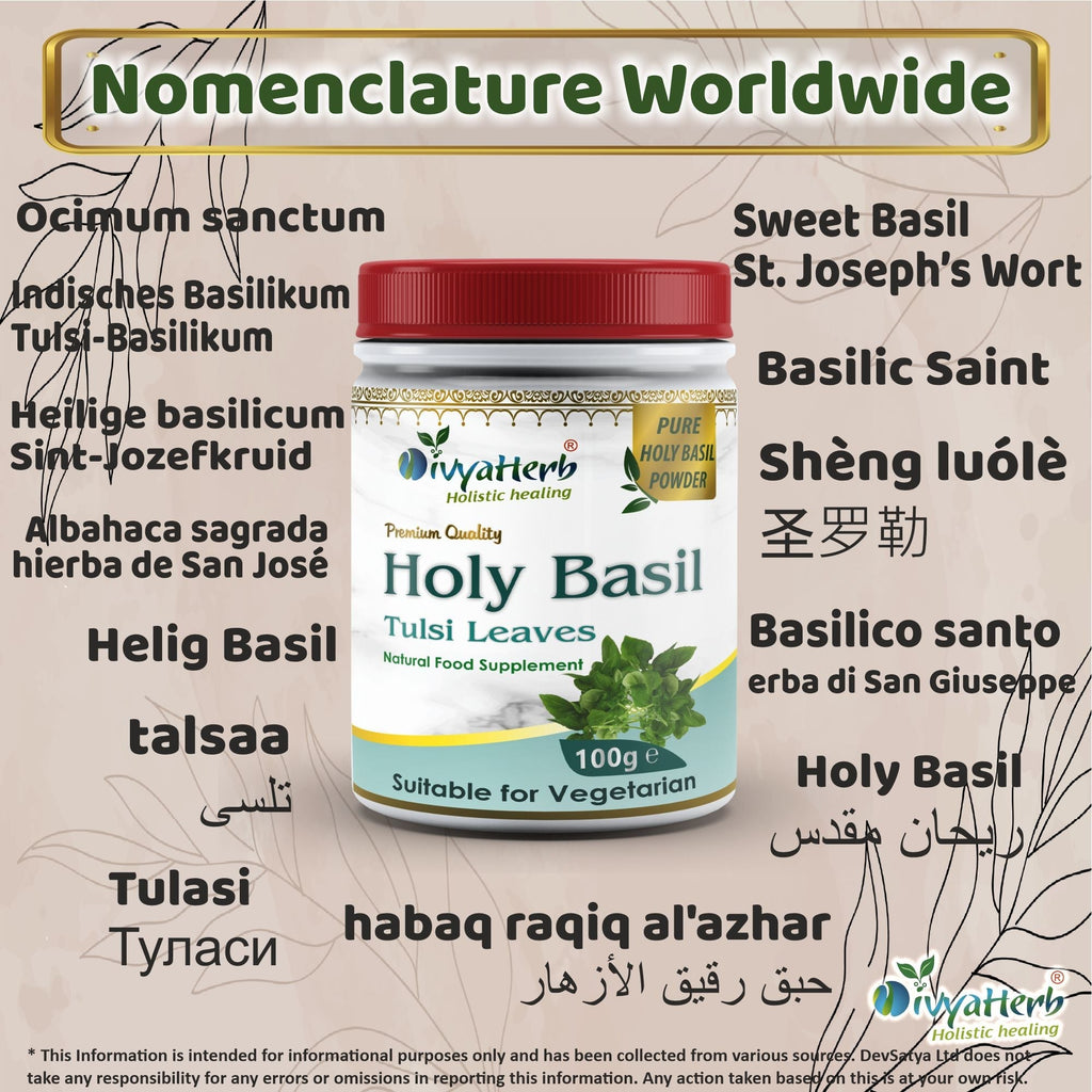 DivyaHerb Holy Basil Powder 100 gram - Seasonal Wellness Support