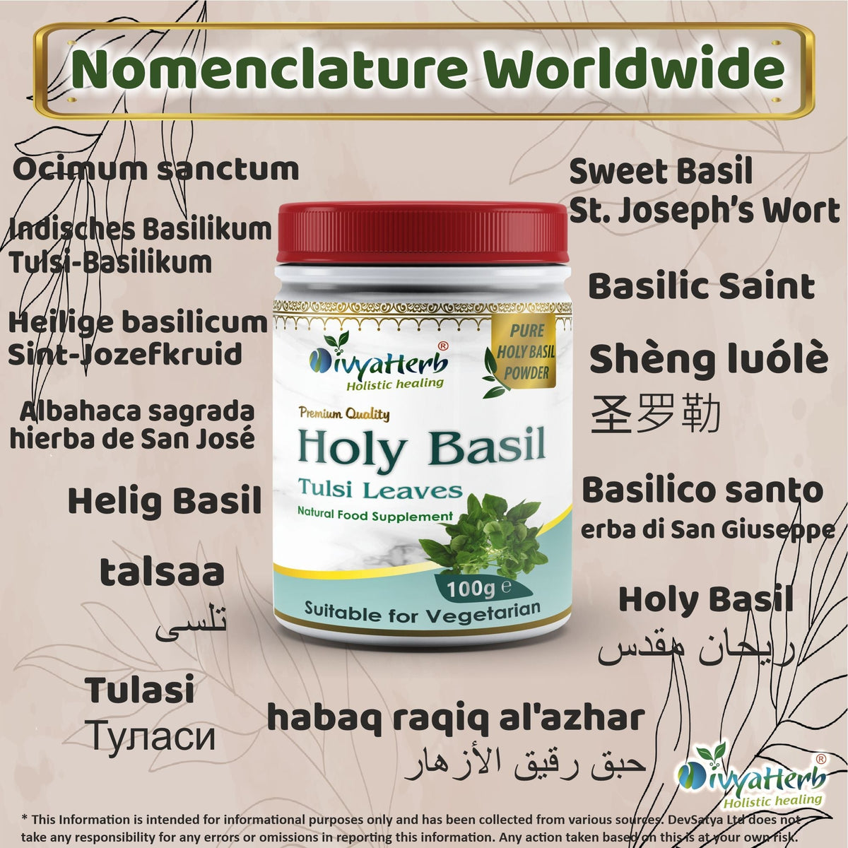 DivyaHerb Holy Basil Powder 100 gram - Seasonal Wellness Support