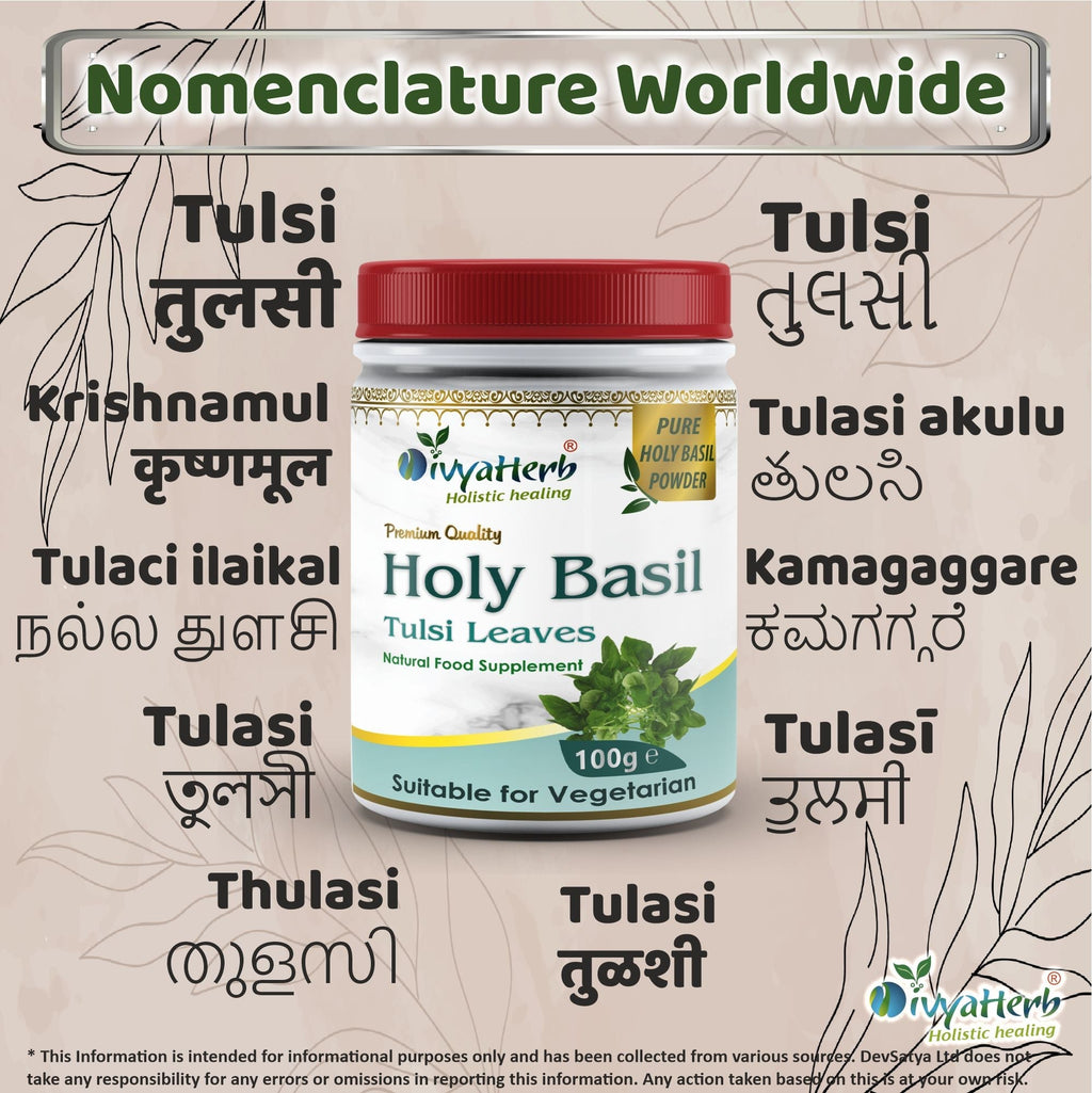 DivyaHerb Holy Basil Powder 100 gram - Seasonal Wellness Support