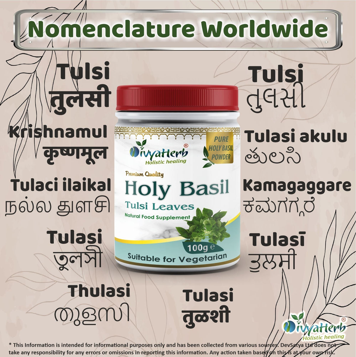 DivyaHerb Holy Basil Powder 100 gram - Seasonal Wellness Support