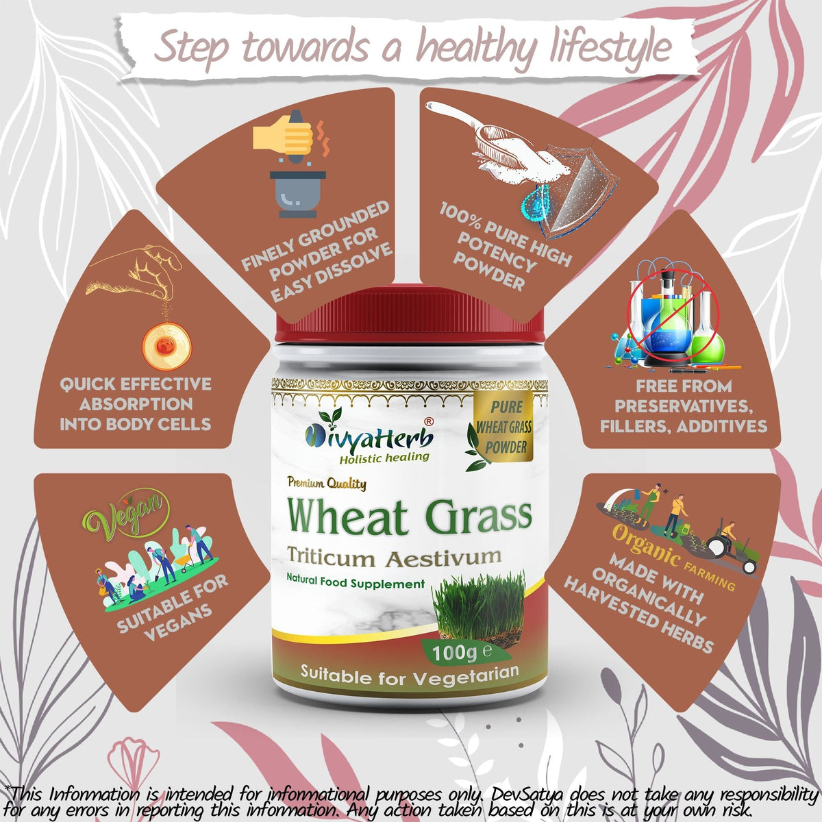 DivyaHerb Wheat Grass Powder 100 gram - Daily Vitality Support